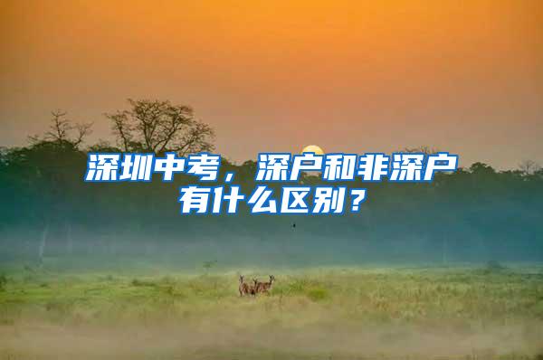 深圳中考，深户和非深户有什么区别？