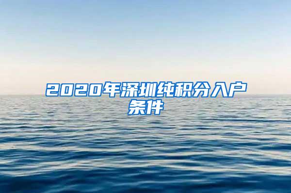 2020年深圳纯积分入户条件