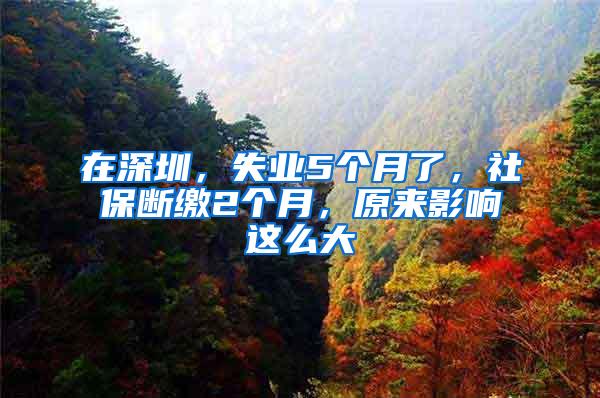 在深圳，失业5个月了，社保断缴2个月，原来影响这么大