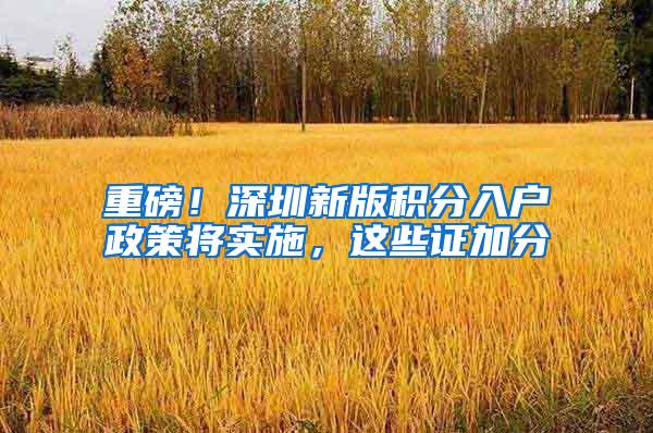重磅！深圳新版积分入户政策将实施，这些证加分
