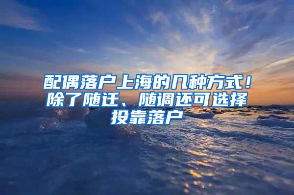 配偶落户上海的几种方式！除了随迁、随调还可选择投靠落户