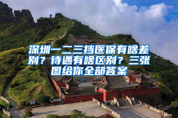 深圳一二三挡医保有啥差别？待遇有啥区别？三张图给你全部答案