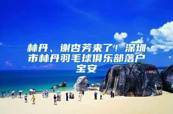 林丹、谢杏芳来了！深圳市林丹羽毛球俱乐部落户宝安