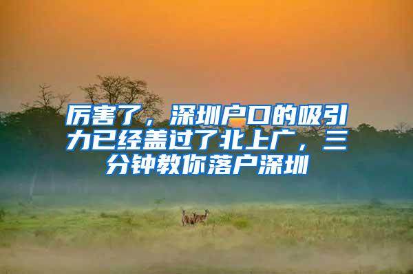 厉害了，深圳户口的吸引力已经盖过了北上广，三分钟教你落户深圳