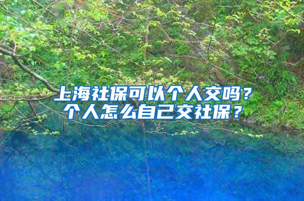 上海社保可以个人交吗？个人怎么自己交社保？