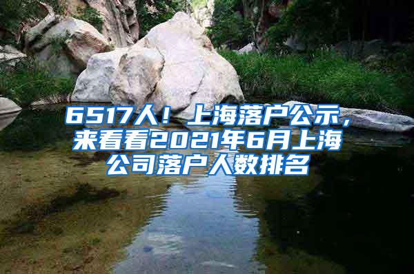 6517人！上海落户公示，来看看2021年6月上海公司落户人数排名
