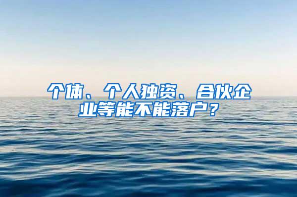 个体、个人独资、合伙企业等能不能落户？