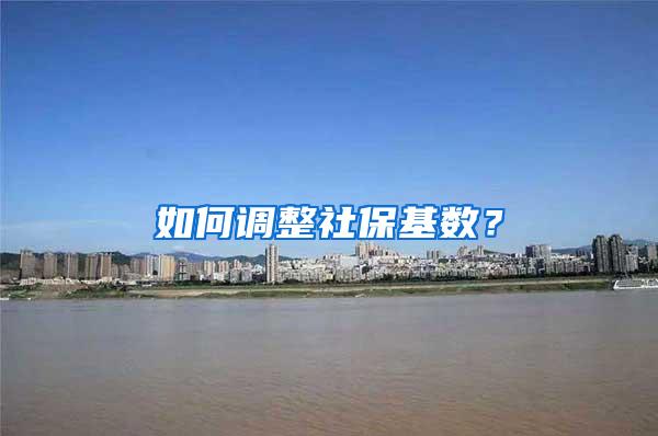 如何调整社保基数？