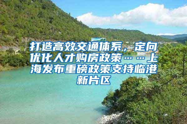 打造高效交通体系，定向优化人才购房政策……上海发布重磅政策支持临港新片区