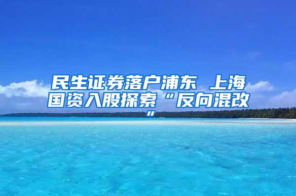 民生证券落户浦东 上海国资入股探索“反向混改”