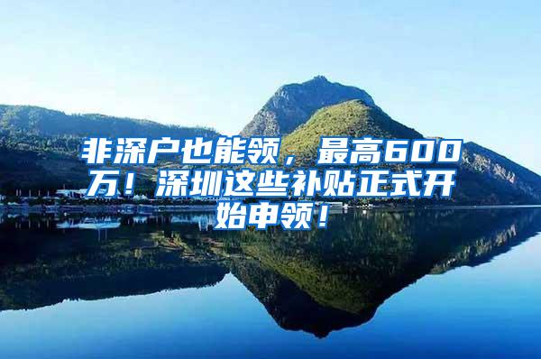 非深户也能领，最高600万！深圳这些补贴正式开始申领！