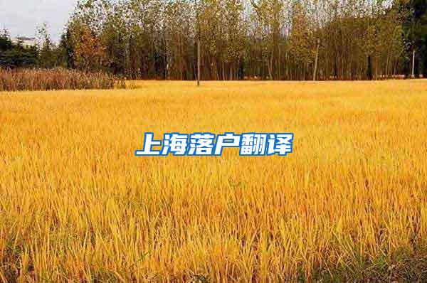 上海落户翻译