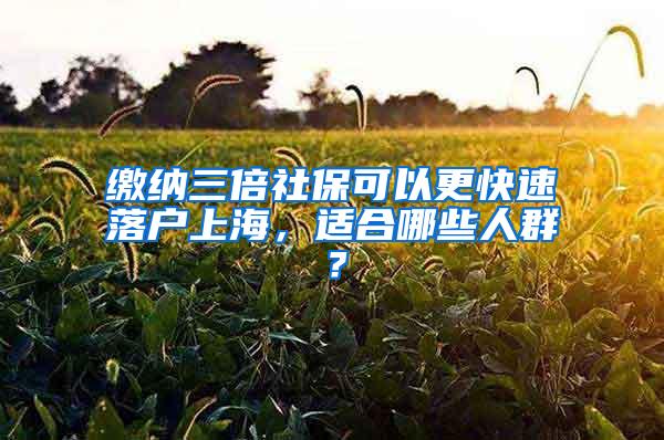 缴纳三倍社保可以更快速落户上海，适合哪些人群？