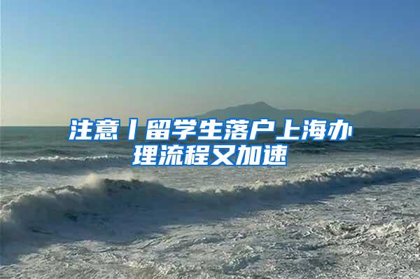 注意丨留学生落户上海办理流程又加速