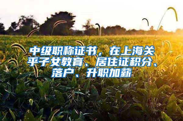 中级职称证书，在上海关乎子女教育、居住证积分、落户、升职加薪