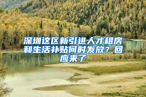 深圳这区新引进人才租房和生活补贴何时发放？回应来了