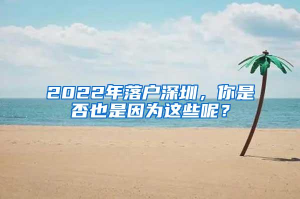 2022年落户深圳，你是否也是因为这些呢？