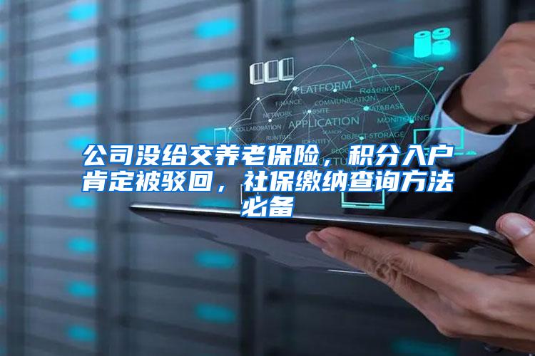 公司没给交养老保险，积分入户肯定被驳回，社保缴纳查询方法必备