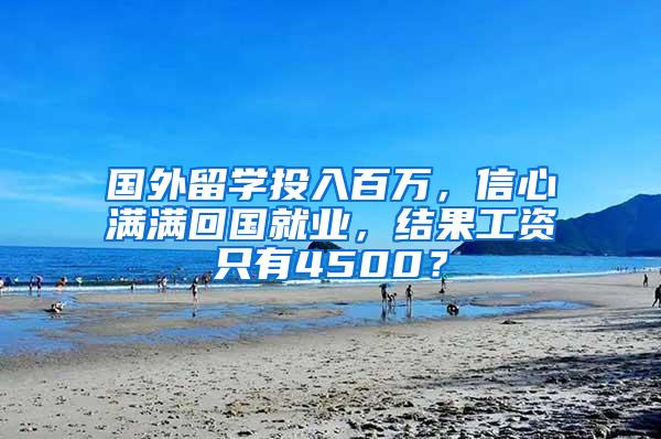 国外留学投入百万，信心满满回国就业，结果工资只有4500？
