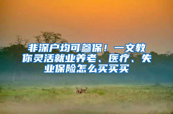 非深户均可参保！一文教你灵活就业养老、医疗、失业保险怎么买买买
