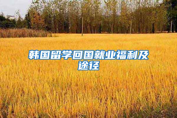 韩国留学回国就业福利及途径