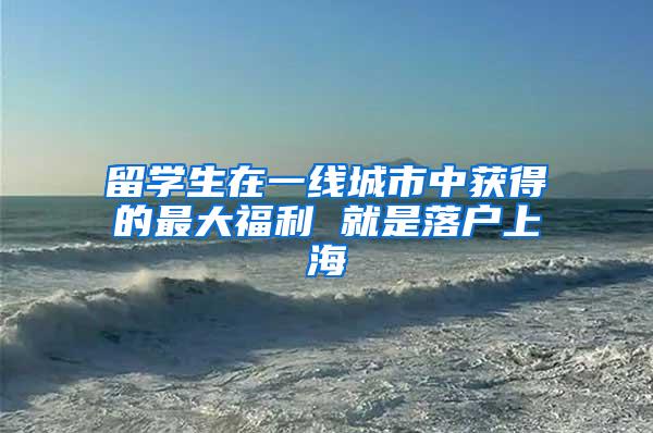留学生在一线城市中获得的最大福利 就是落户上海