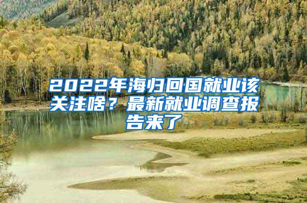 2022年海归回国就业该关注啥？最新就业调查报告来了