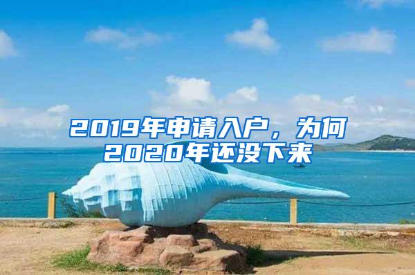 2019年申请入户，为何2020年还没下来