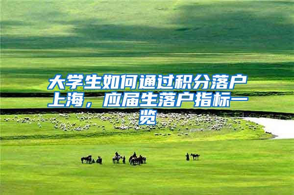 大学生如何通过积分落户上海，应届生落户指标一览