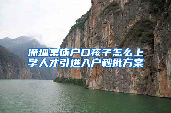 深圳集体户口孩子怎么上学人才引进入户秒批方案