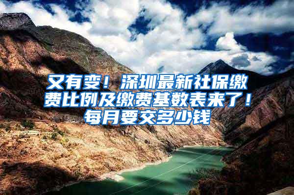 又有变！深圳最新社保缴费比例及缴费基数表来了！每月要交多少钱