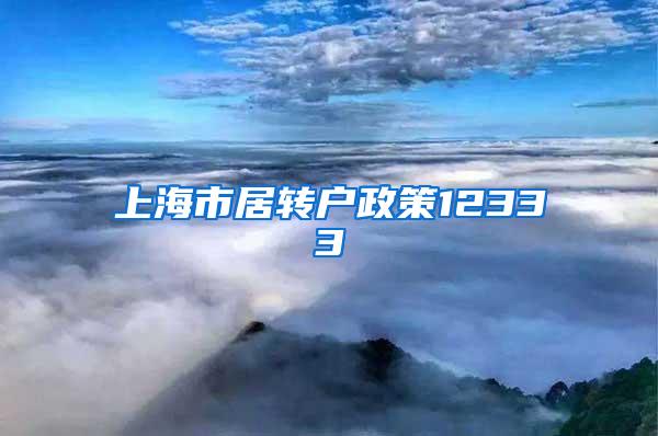 上海市居转户政策12333