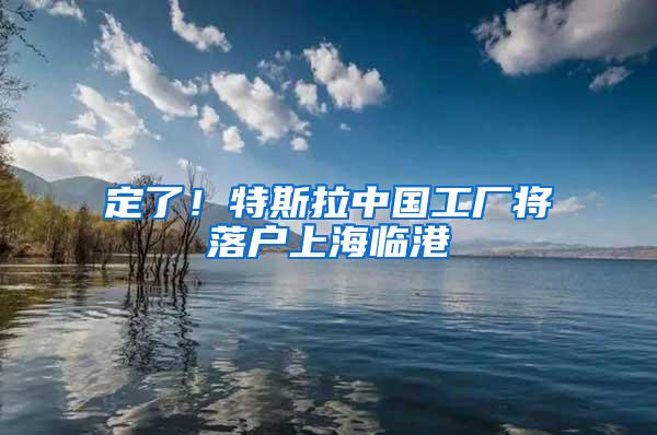 定了！特斯拉中国工厂将落户上海临港