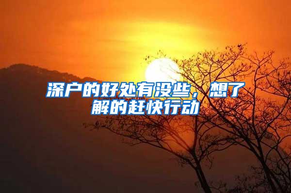 深户的好处有没些，想了解的赶快行动