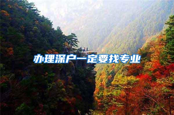 办理深户一定要找专业