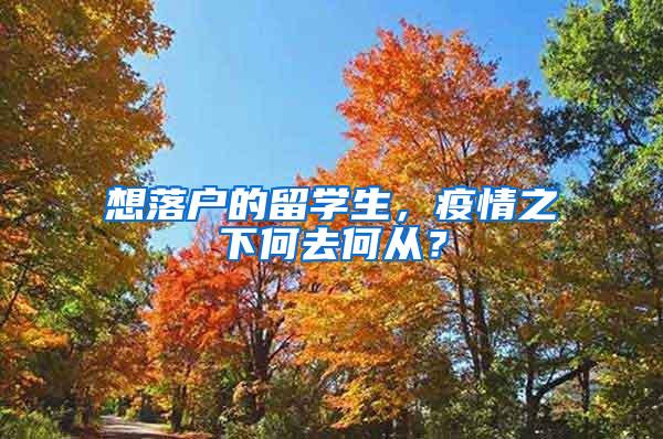 想落户的留学生，疫情之下何去何从？