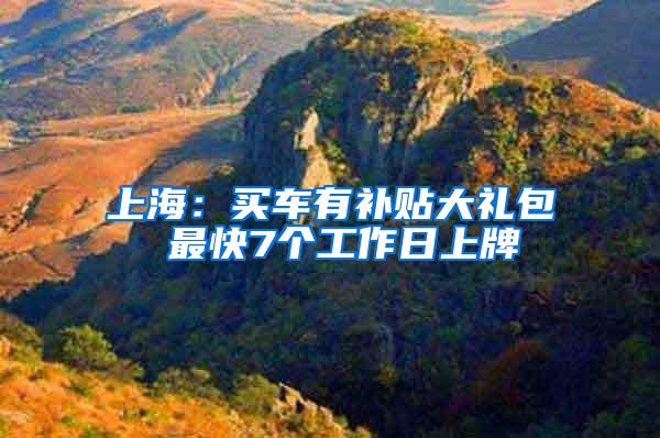 上海：买车有补贴大礼包 最快7个工作日上牌