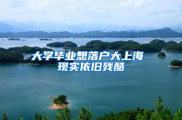 大学毕业想落户大上海 现实依旧残酷