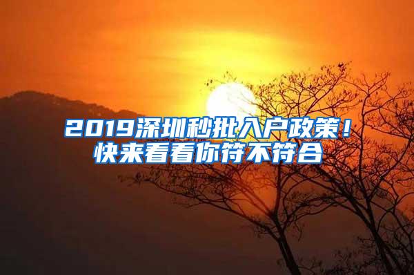 2019深圳秒批入户政策！快来看看你符不符合