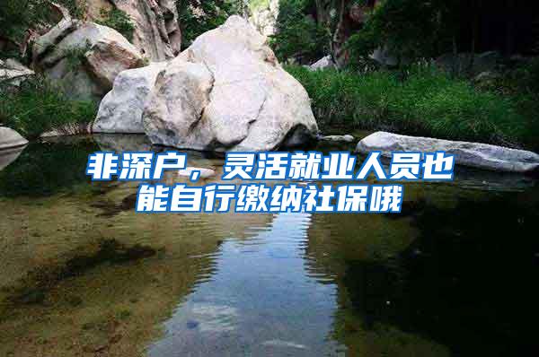 非深户，灵活就业人员也能自行缴纳社保哦