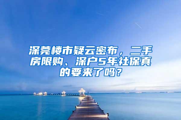 深莞楼市疑云密布，二手房限购、深户5年社保真的要来了吗？