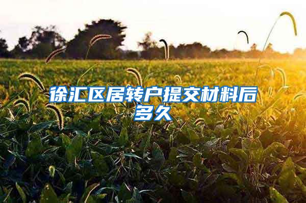 徐汇区居转户提交材料后多久