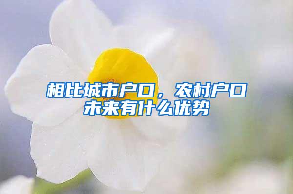 相比城市户口，农村户口未来有什么优势