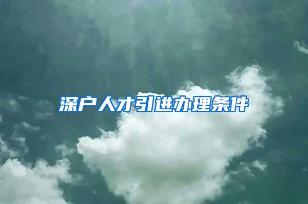 深户人才引进办理条件