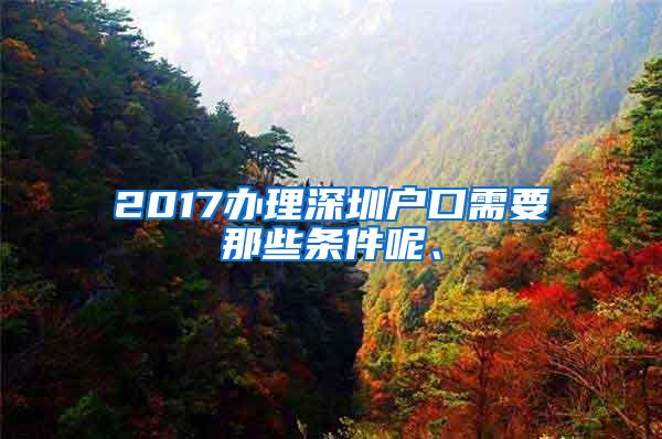 2017办理深圳户口需要那些条件呢、