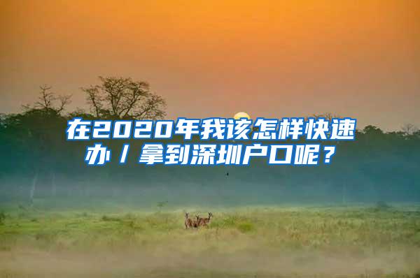 在2020年我该怎样快速办／拿到深圳户口呢？