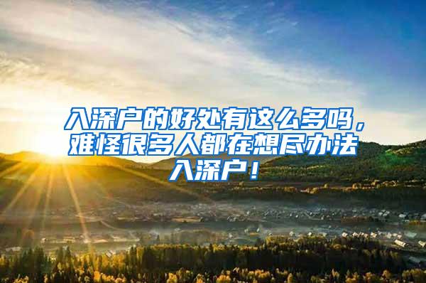 入深户的好处有这么多吗，难怪很多人都在想尽办法入深户！