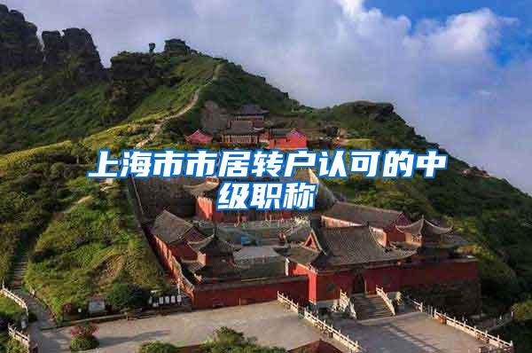 上海市市居转户认可的中级职称