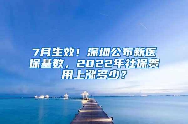 7月生效！深圳公布新医保基数，2022年社保费用上涨多少？