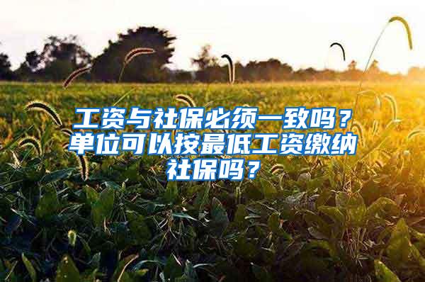 工资与社保必须一致吗？单位可以按最低工资缴纳社保吗？